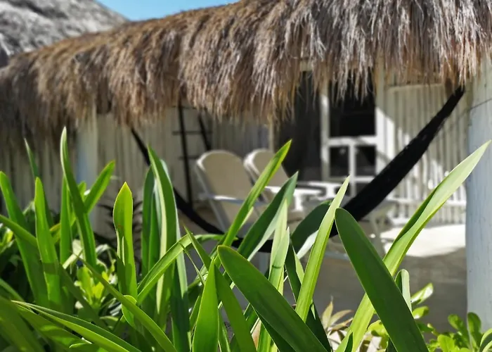 Hotel Coco Tulum