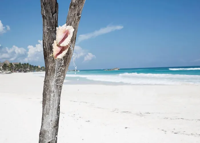 Coco Tulum